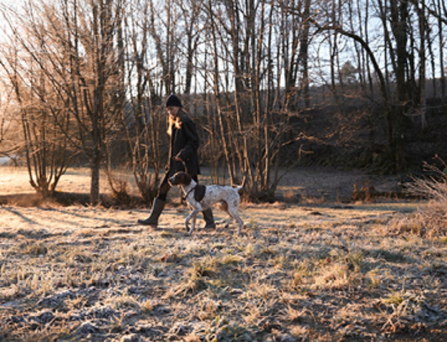 Blog Teaser - Frau und Hund spazieren im Wald aus dem Artikel Der Wald – die grösste Freizeitarena in der Region