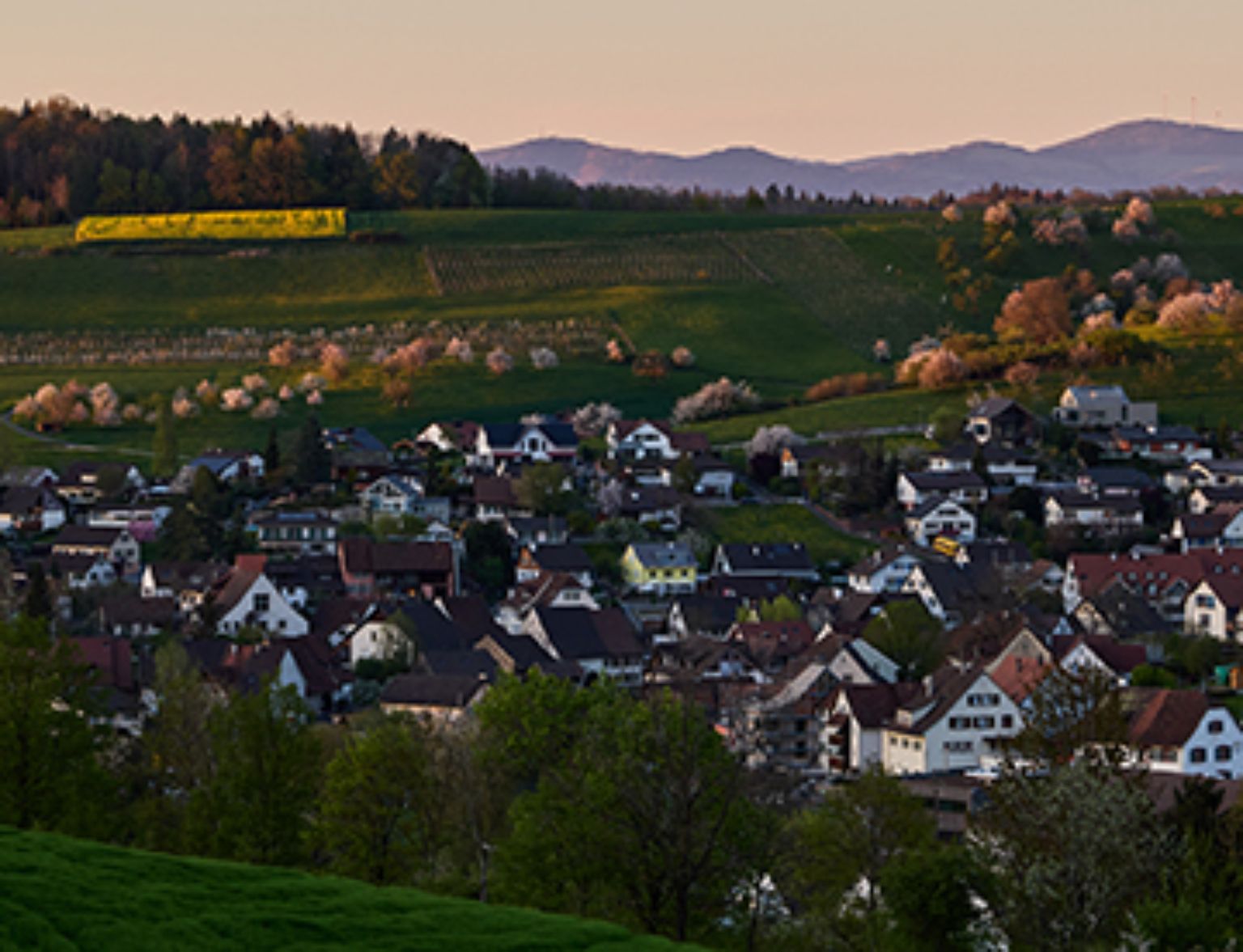 Blog Teaser - Übersicht Dorf aus dem Artikel Dank Planung vom Liegenschaftseigentümer zum Klimaschützer