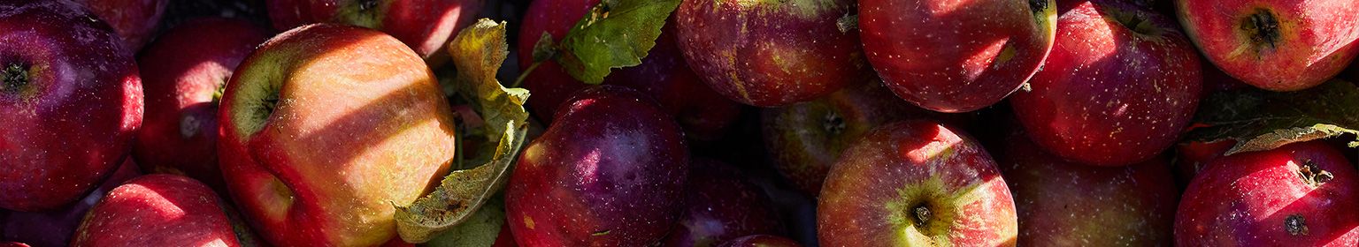 PageEnd - Rote Äpfel