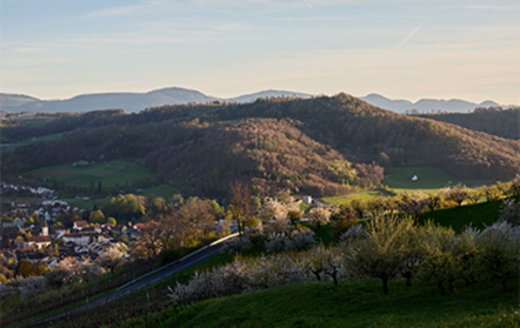 Blog Teaser - Landschaft