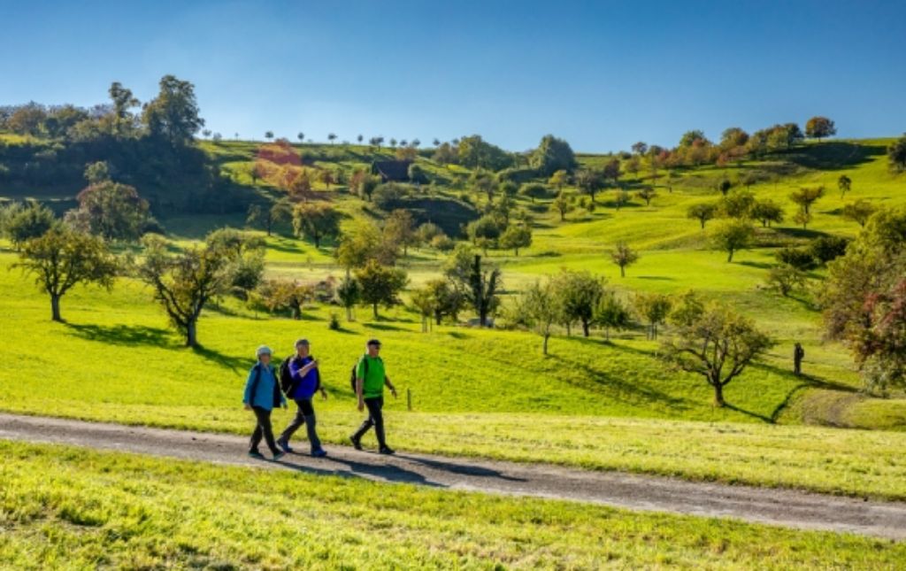 Info Teaser - 3 Personen am Wandern