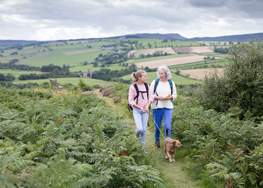 Info Teaser - Ein Mädchen mit einem Hund und einer alten Frau