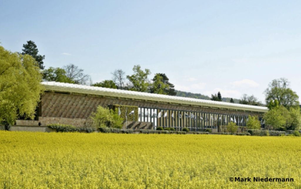 Info Teaser - Fondation Beyeler Gebäude Frühling